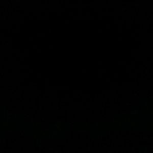 Meet your Posher, Darius